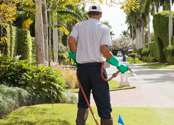 About Matinicus ME Pest Control